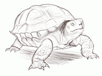 Mantusabra - #bazgrolymantusabra ćwiczenia