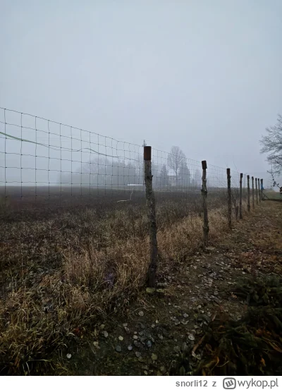 snorli12 - Polski silent hill na spacerze chuopskim dla jego

SPOILER