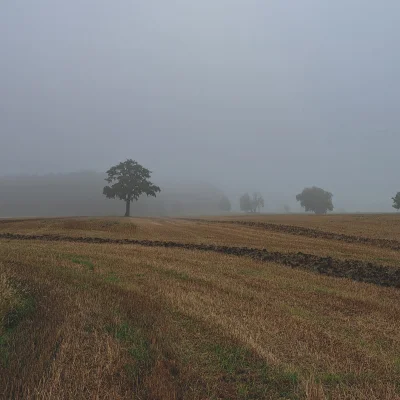 Arvin - #spierdotrip jeszcze z października, trzeba znów zacząć chodzić, bo się człow...