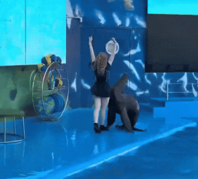 wfyokyga - Super majteczki cipcia hehe