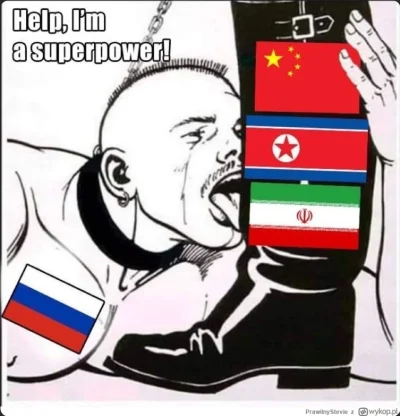 papiez_akrobata - @Anonek463: