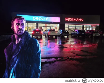 matrick - Blade Runner polish edition ( ͡° ͜ʖ ͡°)
#bladerunner #bladerunner2046 #jesi...