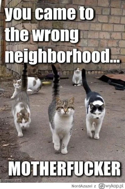 NordAzazel - @Lujdziarski: