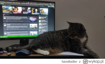 handballer - Znowu zajęte
#kot #koty #pokazkota