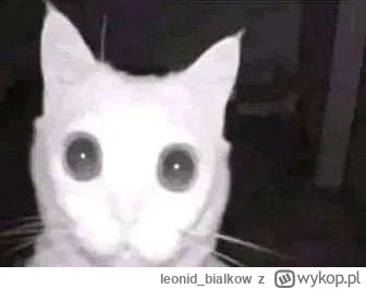 leonid_bialkow - @Graner: frajernia z dziennej zara nadejdzie
