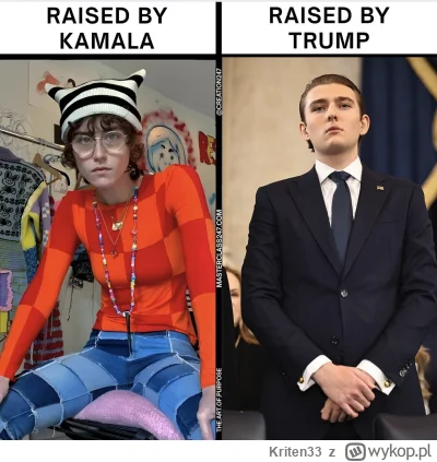 Kriten33 - Botom tuska na wykopie pewnie bardziej odpowiada to coś po lewej
#bekazlew...