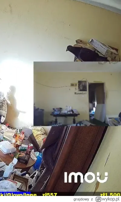 grajdowy - Wartownik Raszejski, pełni rolę ochronną. Można go spotkać podczas zmiany ...