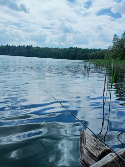 JegoKrolewskaMosc - Miałem dziś życiówkę na kiju
Jak już go widziałem to #!$%@?ł świe...