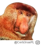 Cerb3rusPL - @paczelok: A gdzie pijany Zenek?