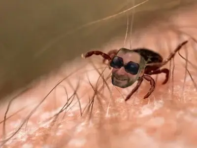 ZaczarowanyLump - #kononowicz #patostreamy