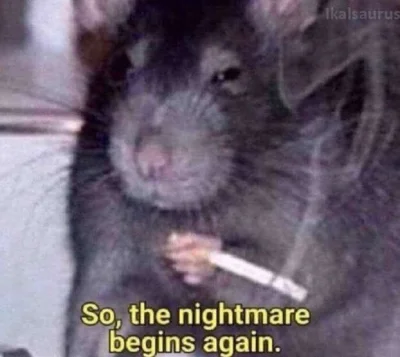 jacas - HODL

#gielda