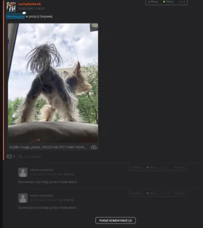 suchybezkicek - #wykop @m__b zagadka - co tu wymoderowano?