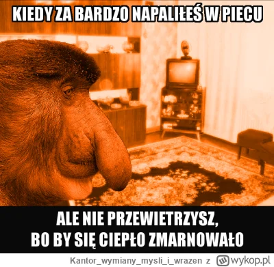 Kantorwymianymysliiwrazen - No jest kurła już znaczaco zimniej. (・へ・)
#memy #nosacz #...
