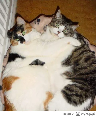 Issac - @wybryk_natury masz 2TB