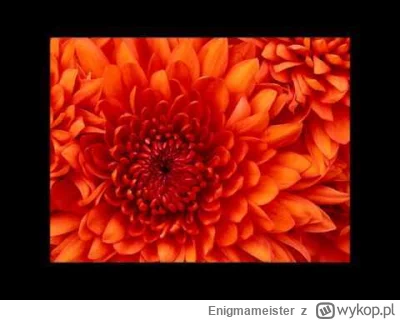 Enigmameister - @hyperlink: ( ͡º ͜ʖ͡º)