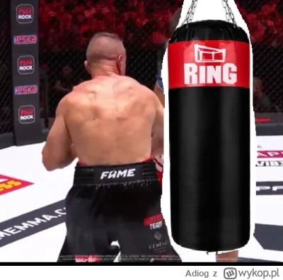 Adiog - gość za walke z workiem treningowym dostaje milion złotych, tylko polacy są w...