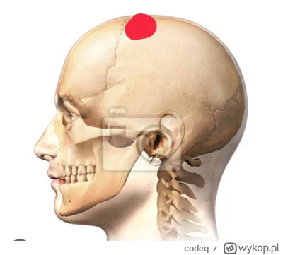 codeq - @chlodna_kalkulacja:  mniej wiecej po srodku, jak na zdjęciu