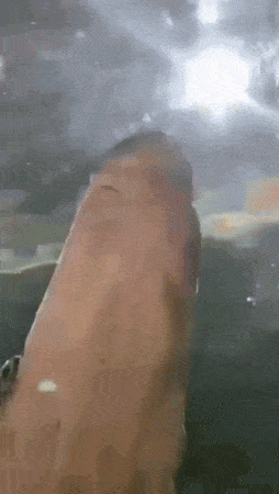 cybher2 - UNH (｡◕‿‿◕｡)
#gielda