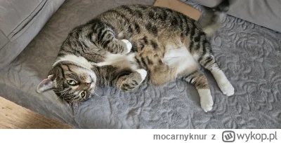 mocarnyknur - @mocarnyknur