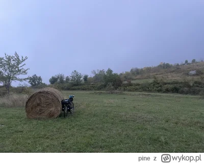 pine - @ChlopoRobotnik2137 Włochy , Abruzzo. Siedzę na polance niedaleko Sant'Eufemia...