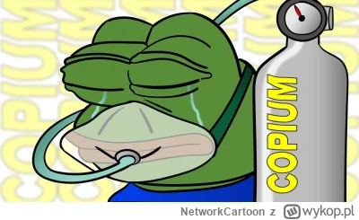 NetworkCartoon