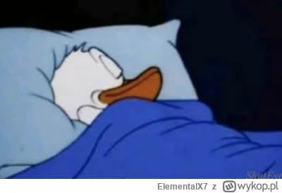 ElementalX7 - #famemma