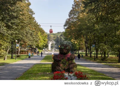 weekendowka - Park Śląski - poznaj atrakcje największego parku kontynentalnej Europy....