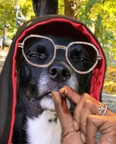 wybryk_natury - ciekawe czy ktoś to jeszcze pamięta ze starego wykopu