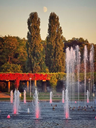 mroz3 - #dziendobry Chłodno, pochmurno, miejscami mgła.

WIATR............ wschodni p...