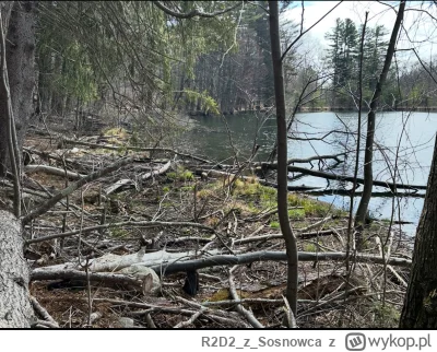 R2D2zSosnowca - @R2D2zSosnowca przecież to nie jest normalne, żeby typ tak nienawidzi...