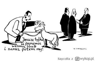 S.....a - Co za paskudna dyskryminacja ze względu na orientację!