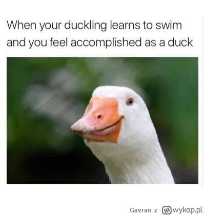 Gavran - Kiedy nauczyłeś swoich gwardzistów expeliarmusa i czujesz się spełniony jako...