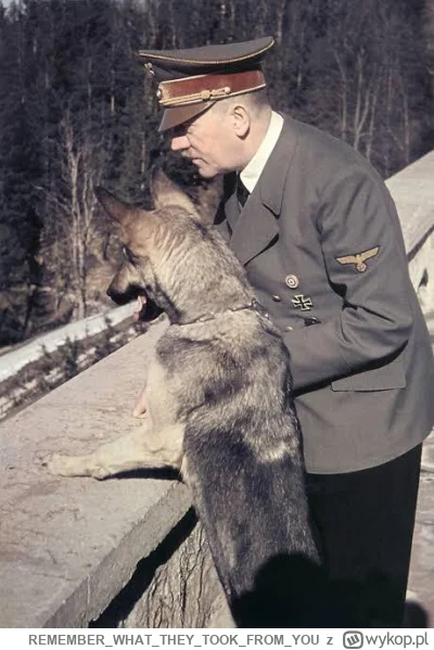 REMEMBERWHATTHEYTOOKFROM_YOU - @zsokiemowocowym wojna to system, a psiarze to emanacj...