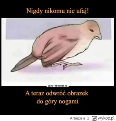 Arbuzlele - #heheszki #humorobrazkowy #glupiewykopowezabawy