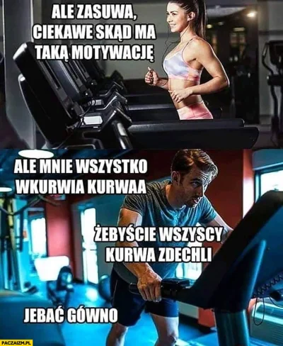 MinaHarker - #przegryw jak jeszcze copeowałem siłownią to tak mniej więcej to wygląda...