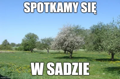 Normie_Lurker - @Jarusek: pamiętam, że jeden kuc kiedyś straszył, że pójdzie na polic...