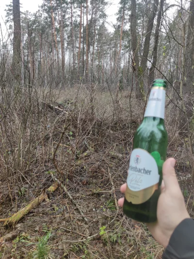 kasza332 - Kacowe w lesie

#alkoholizm #pijzwykopem