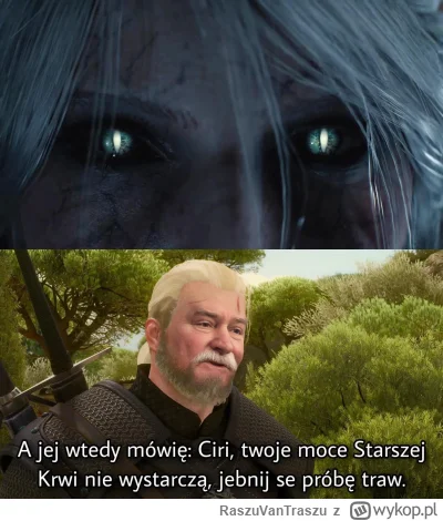 RaszuVanTraszu - #wiedzmin