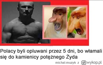 michal-muzyk - #testoviron Tak było!