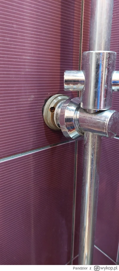 Pandzior - #remontujzwykopem 
Chcę wymienić zestaw prysznicowy. Mój ma dziesięć lat. ...