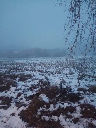 BlackenedBlue - #przegryw nie starajcie się w robocie, róbcie minimum i powodzenia