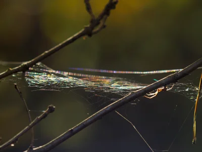 bladolux - K---a, jak ja nienawidzę niedziel... Z tego powodu większość dnia spędziłe...