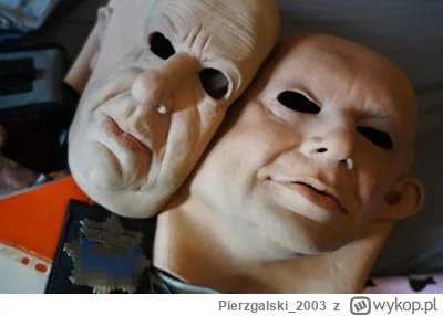 Pierzgalski2003 - Czy tylko mi te ich maski kogoś przypominają?
https://kryminalki.pl...