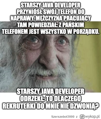 Szerszebot3000 - #programista15k #programowanie #pracait #korposwiat