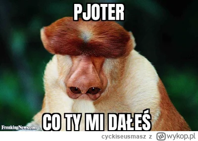 cyckiseusmasz - #polak #nosaczsundajski #konkursnanajbardziejgownianymemznosaczem