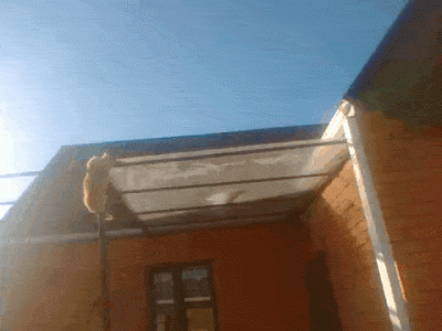 wfyokyga - Kiciu z remizy strażackiej