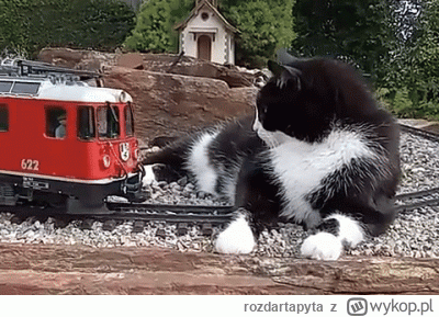 rozdartapyta - Opóźnienie pociągu może ulec zmianie prosimy o zwracanie uwagi na komu...