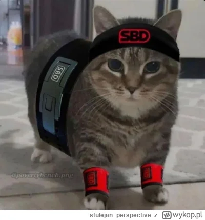 stulejan_perspective