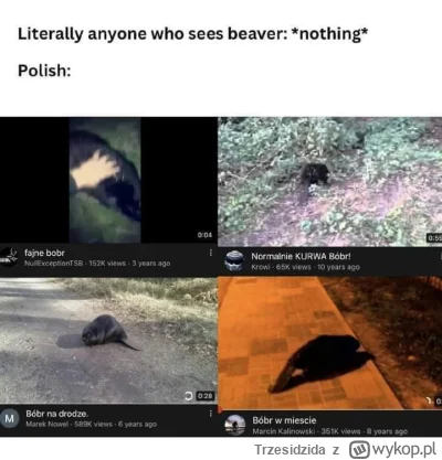 Trzesidzida - #bober #takaprawda