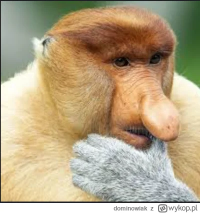 dominowiak - @ATAT-2: na taką Świnicę to sam bym wszedł bez asekuracji ( ͡º ͜ʖ͡º)